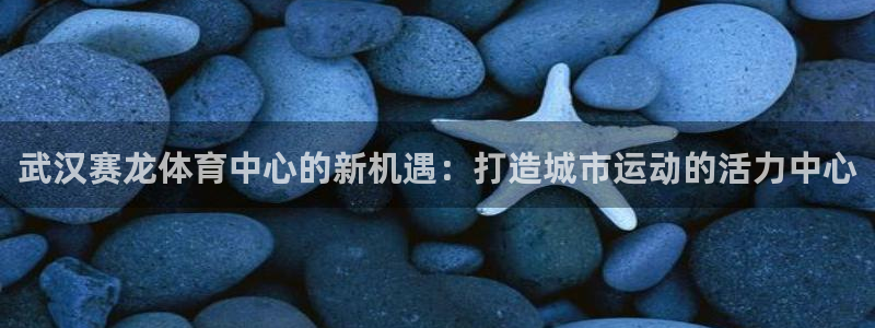 意昂5(KGAME)娱乐下载：武汉赛龙体育中心的新机