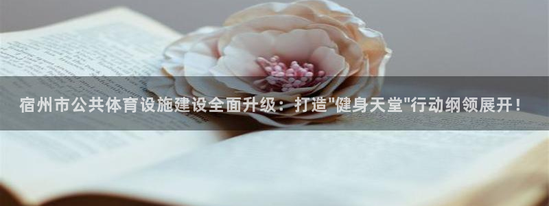 意昂5(KGAME)集团官网首页网址：宿州市公共体育设施建设
