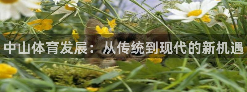 意昂5(KGAME)集团官网首页：中山体育发展：从传
