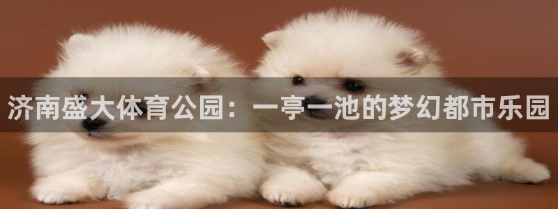 意昂5(KGAME)体育平台：济南盛大体育公园：一亭