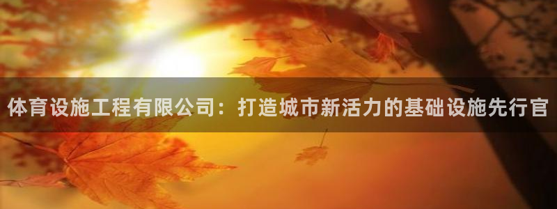 意昂5(KGAME)体育平台是正规平台吗：体育设施工程有限公