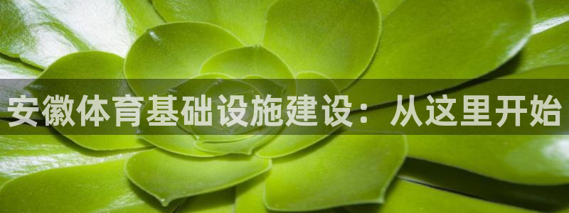 意昂5(KGAME)集团官网网址：安徽体育基础设施建设：从这