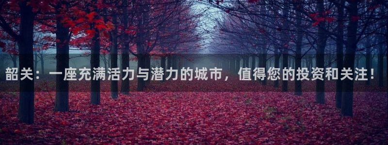 意昂5(KGAME)体育平台是正规平台吗：韶关：一座充满活力 