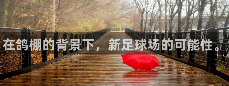 意昂5(KGAME)体育娱乐：在鸽棚的背景下，新足球