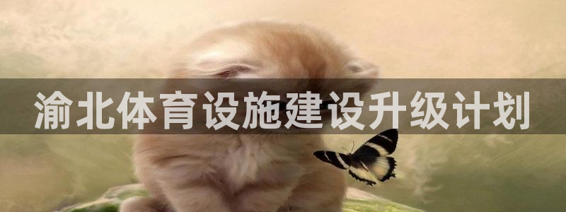 意昂5(KGAME)集团官网网址：渝北体育设施建设升