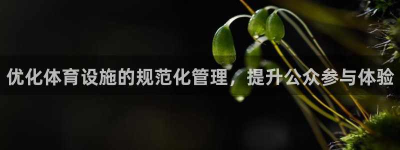 意昂5(KGAME)体育招商：优化体育设施的规范化管