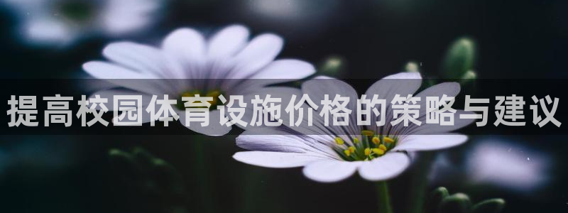 意昂5(KGAME)娱乐：提高校园体育设施价格的策略与建议