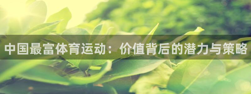 必一运动官网入口：中国最富体育运动：价值背后的潜力与策略