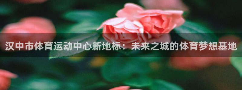 bsports必一运动：汉中市体育运动中心新地标：未来之城的体育梦想基地