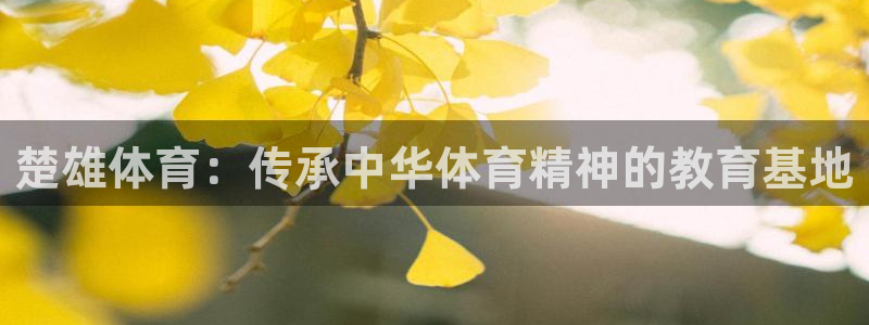 bsport必一运动：楚雄体育：传承中华体育精神的教育基地