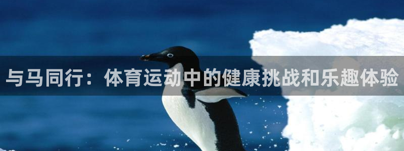 必一运动官网入口：与马同行：体育运动中的健康挑战和乐趣体验