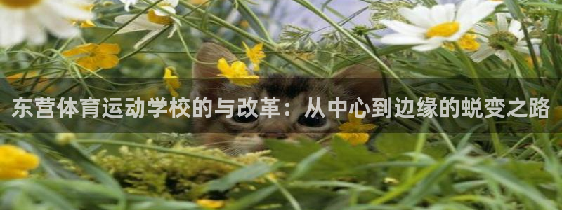 必一运动：东营体育运动学校的与改革：从中心到边缘的蜕变之路