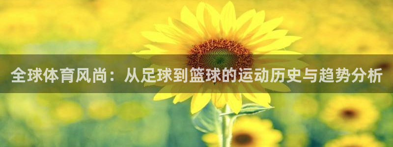 必一运动体育官网：全球体育风尚：从足球到篮球的运动历史与趋势分析